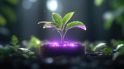 Small plant sprouting in magical soil