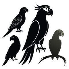 Professional Parrot Silhouettes: 3 Black & Gray Bird Designs - Vector Graphics.