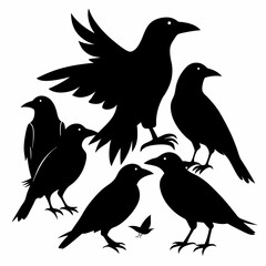 Professional Crow Silhouettes: 5 Black Birds Vector Graphic.