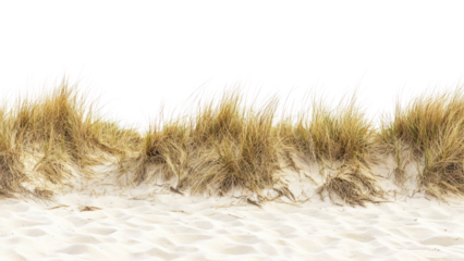 PNG Beach sand dune dunes nature grass.