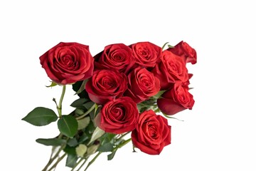 bouquet of red roses on white background 