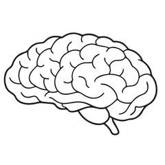 Human brain in vector art