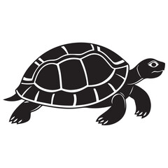 turtle in vector art