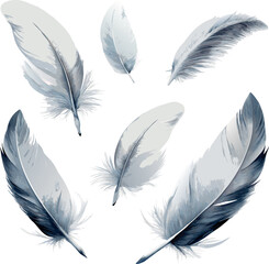  Flying grey white realistic feathers watercolor illustration set