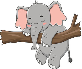 Cute Sleeping Baby Elephant on Branch