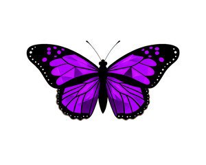 Purple and Black Geometric Butterfly Vector Illustration