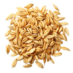 Golden barley grains pile closeup view healthy food