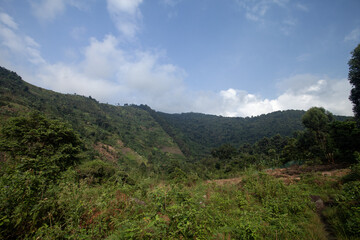This is the border of Bwindi Impenetrable National Park. The Ugandan jungle. A place where the mountain gorillas live.