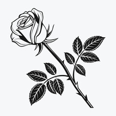 Vector Illustration of Elegant Black and White Rose with Bud and Leaves Depicting Botanical Art, Floral Design, and Nature-Inspired Elegance, Silhouette Rose vector.