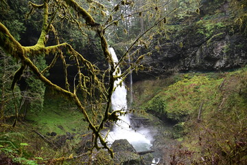 Beautiful view of Silver Falls at Silver Falls state park, Oregon