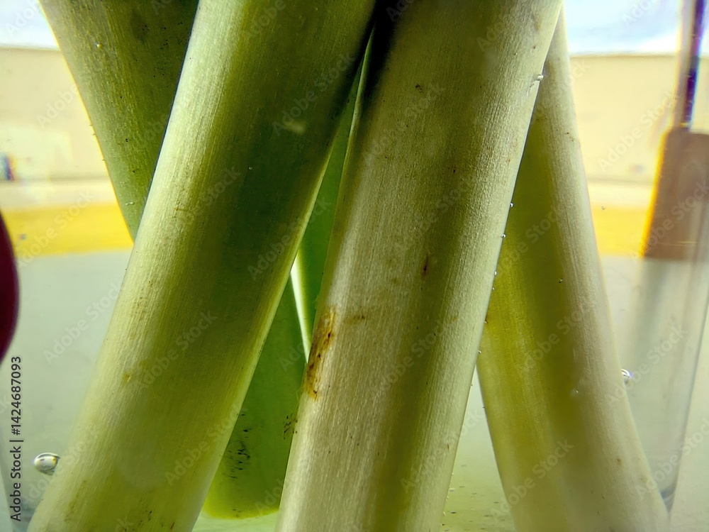 Poster Green stems inside glass container create an elegant arrangement for display