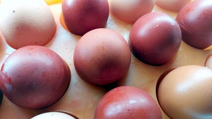 Colorful Easter eggs arranged neatly in a tray ready for spring celebration and family activities