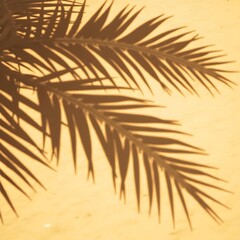 Obraz premium palm tree silhouette