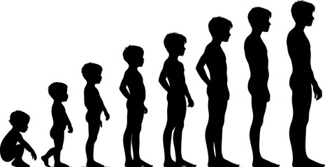Stages of Boy's Growth A Visual Representation of Childhood Development