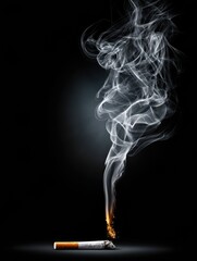 Obraz premium Broken Cigarette Creates Skull Shape With Rising Smoke Against Dark Backdrop Highlighting the Dangers of Smoking and Its Impact on Health