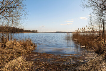 A serene lakeside view with gentle ripples, golden grasses, and a clear blue sky, surrounded by...