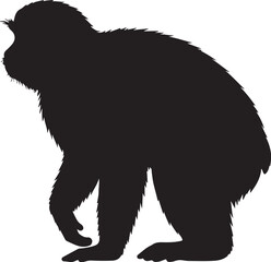 Allen's Swamp Monkey Silhouette on White Background