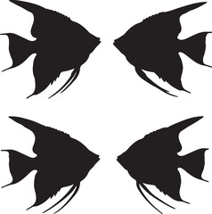 Angelfish Silhouette on White Background