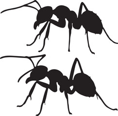 Army Ant Silhouette on White Background