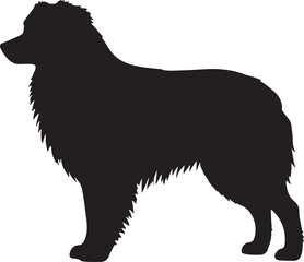 Australian Shepherd Silhouette on White Background
