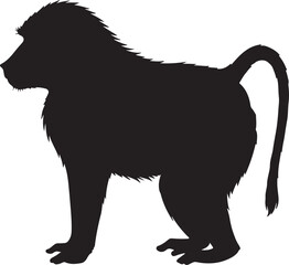 Baboon Silhouette on White Background