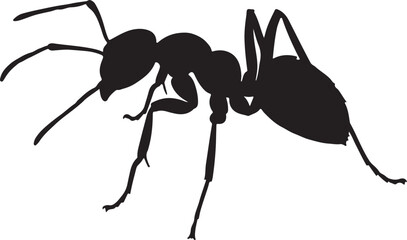 Bullet Ant Silhouette on White Background
