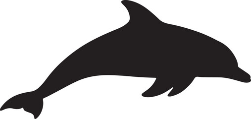 silhouette of a dolphin © Digital Dreams Studi