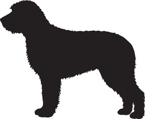 Dalmadoodle Silhouette on White Background