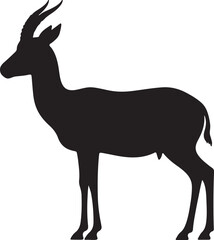 Dama Gazelle Silhouette on White Background