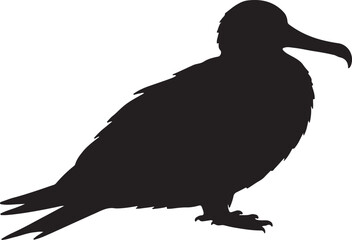 Frigatebird Silhouette on White Background