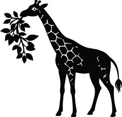 Giraffe Eating Leaves Silhouette