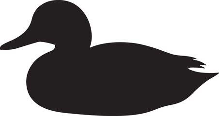 Garganey Silhouette on White Background