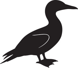 Gannet Silhouette on White Background
