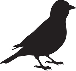 Goldfinch Silhouette on White Background