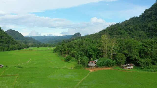 Rice fields surrounded by mountains in Muang Ngoi Neua in Asia, Laos, near Luang Prabang, in summer, on a sunny day.&nbsp;