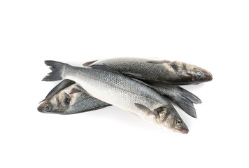 European seabass or Dicentrarchus labrax, whole raw labrax, branzino fish, European bass