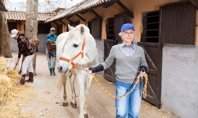 Women ranchers preparing white horse for ride. Senior woman leading horse out of stable, other...