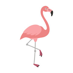 Flamingo: The Elegant Pink Wader