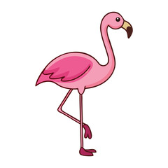 Fototapeta premium Flamingo: The Elegant Pink Wader