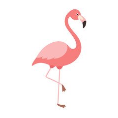 Flamingo: The Elegant Pink Wader