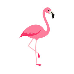 Obraz premium Flamingo: The Elegant Pink Wader