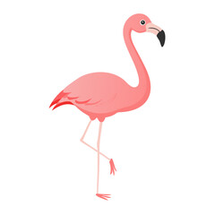 Flamingo: The Elegant Pink Wader