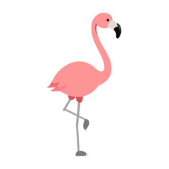 Flamingo: The Elegant Pink Wader