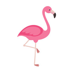 Flamingo: The Elegant Pink Wader
