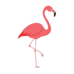 Flamingo: The Elegant Pink Wader