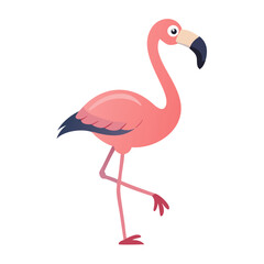 Flamingo: The Elegant Pink Wader