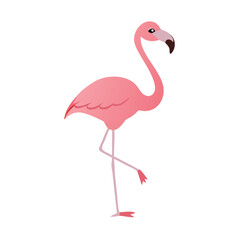 Fototapeta premium Flamingo: The Elegant Pink Wader