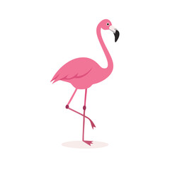 Flamingo: The Elegant Pink Wader