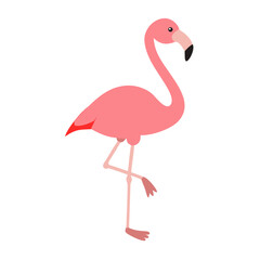 Flamingo: The Elegant Pink Wader