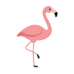 Flamingo: The Elegant Pink Wader